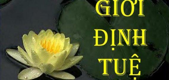 3 GỐC RỄ CỦA THÀNH CÔNG.