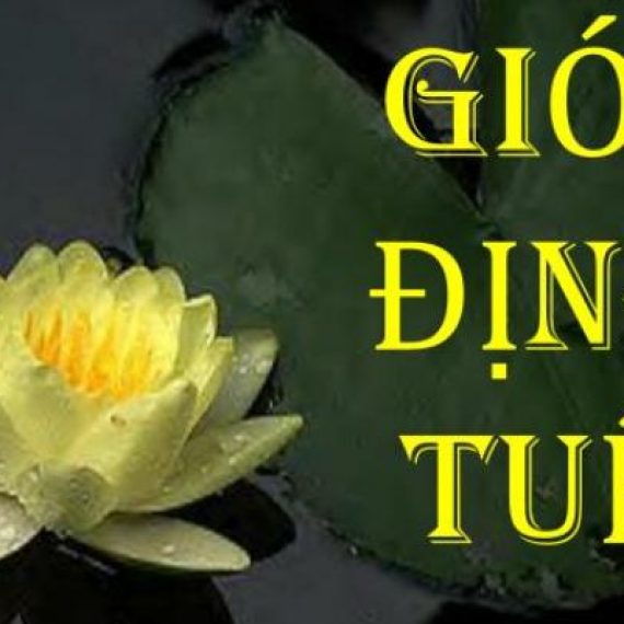 3 GỐC RỄ CỦA THÀNH CÔNG.
