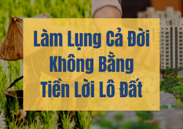 Làm Lụng Cả Đời Không Bằng Tiền Lời Lô Đất